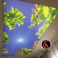 3D gergi tavan mavi gökyüzü yeşillik